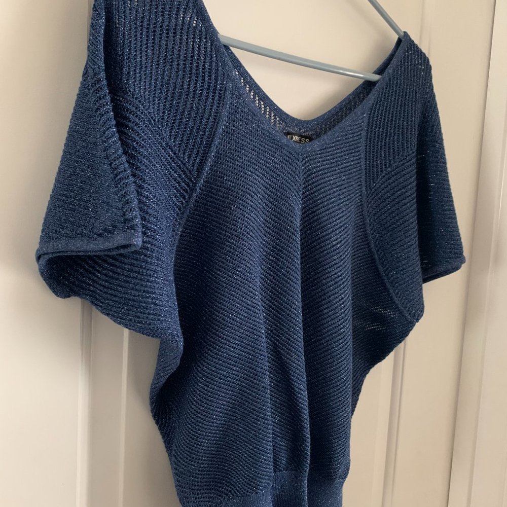 Express V-neck Knit Top